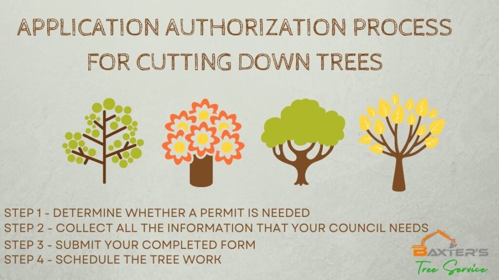 Application-Authorization-Process-For-cutting-down-trees