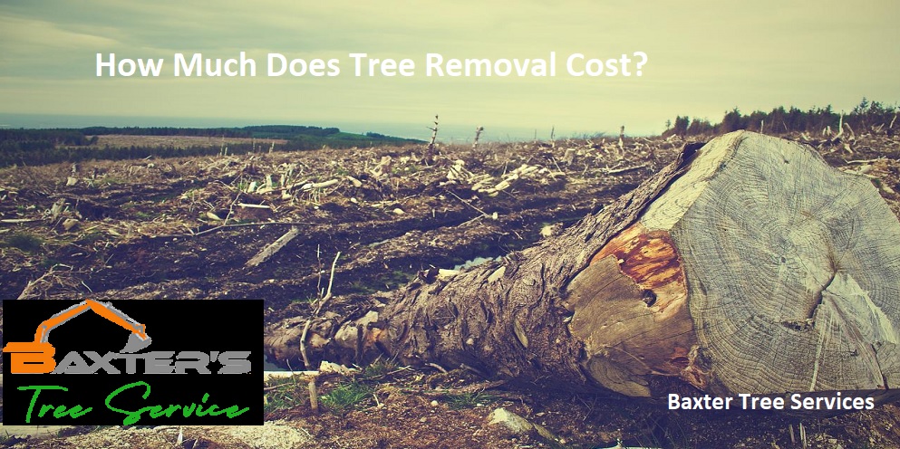 Tree-Removal-Cost