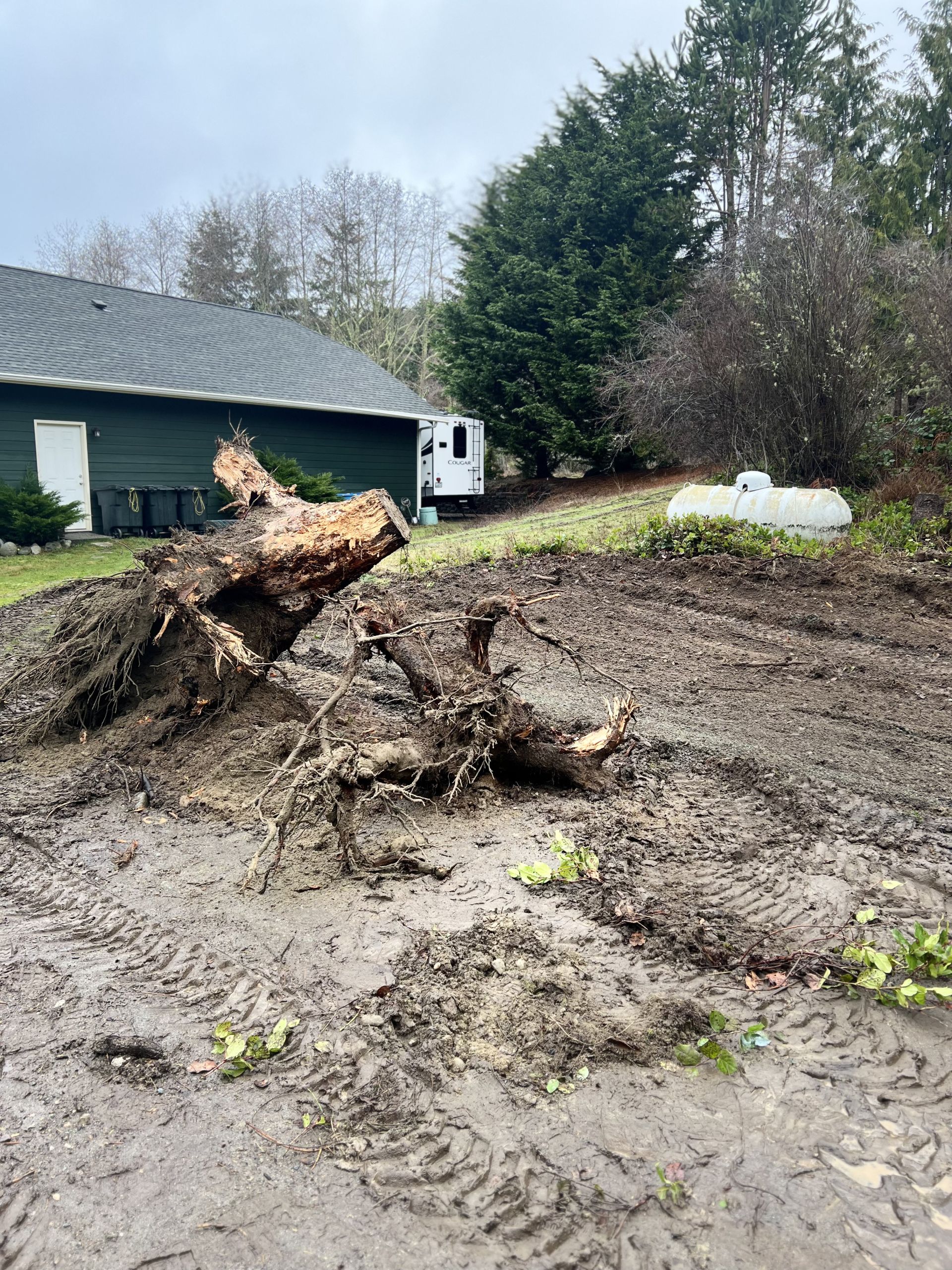 Does homeowners insurance cover tree removal after a hurricane in Burlington, WA?