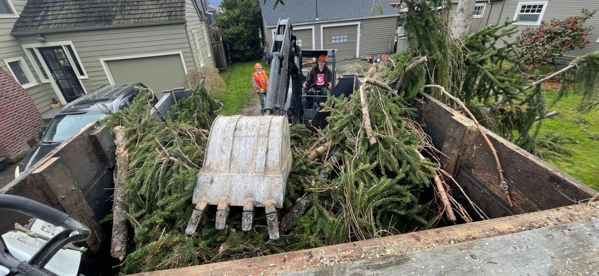 Does Homeowners Insurance Cover Tree Removal After a Storm in Burlington, WA? – Fallen tree and property damage in Burlington neighborhood.