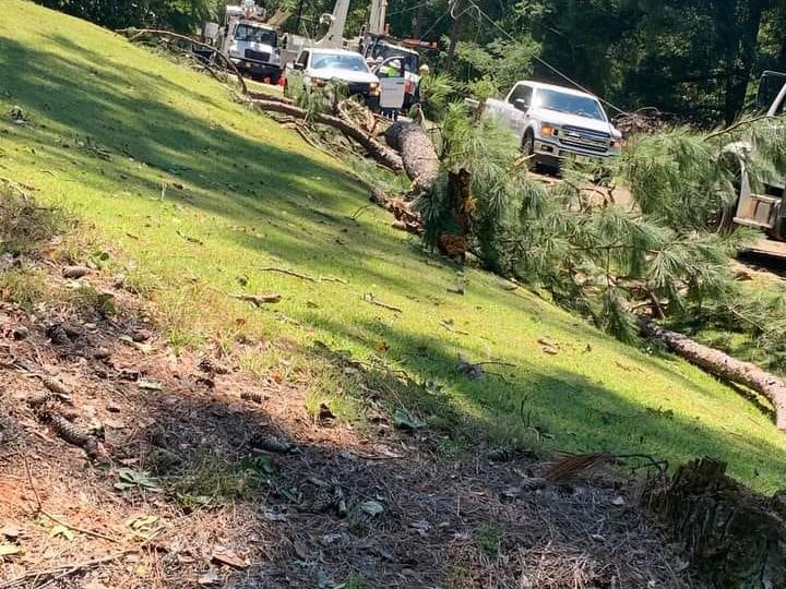 A damaged house in Burlington WA with fallen tree debris, raising insurance coverage questions.