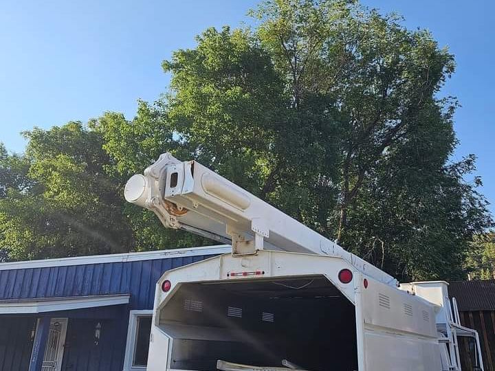 Tree care service near me in Burlington WA with a professional arborist pruning a tree in a residential area.