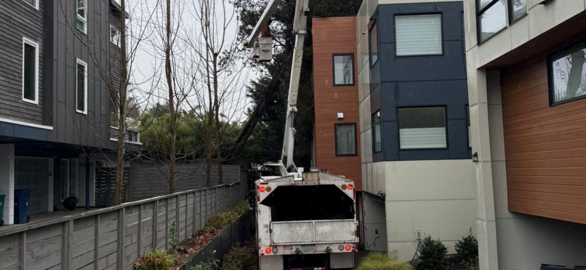 Professional tree cutting service in Burlington, WA, by Baxter’s Tree Service.