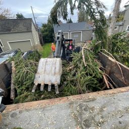 Tree removal and grading services in Burlington, WA for residential properties