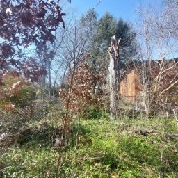 Homeowners reviewing insurance coverage for tree removal in Burlington, WA