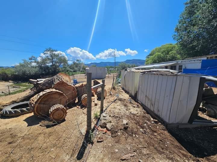 Professional local tree stump removal in Burlington, WA, featuring state-of-the-art equipment for clean and precise results.