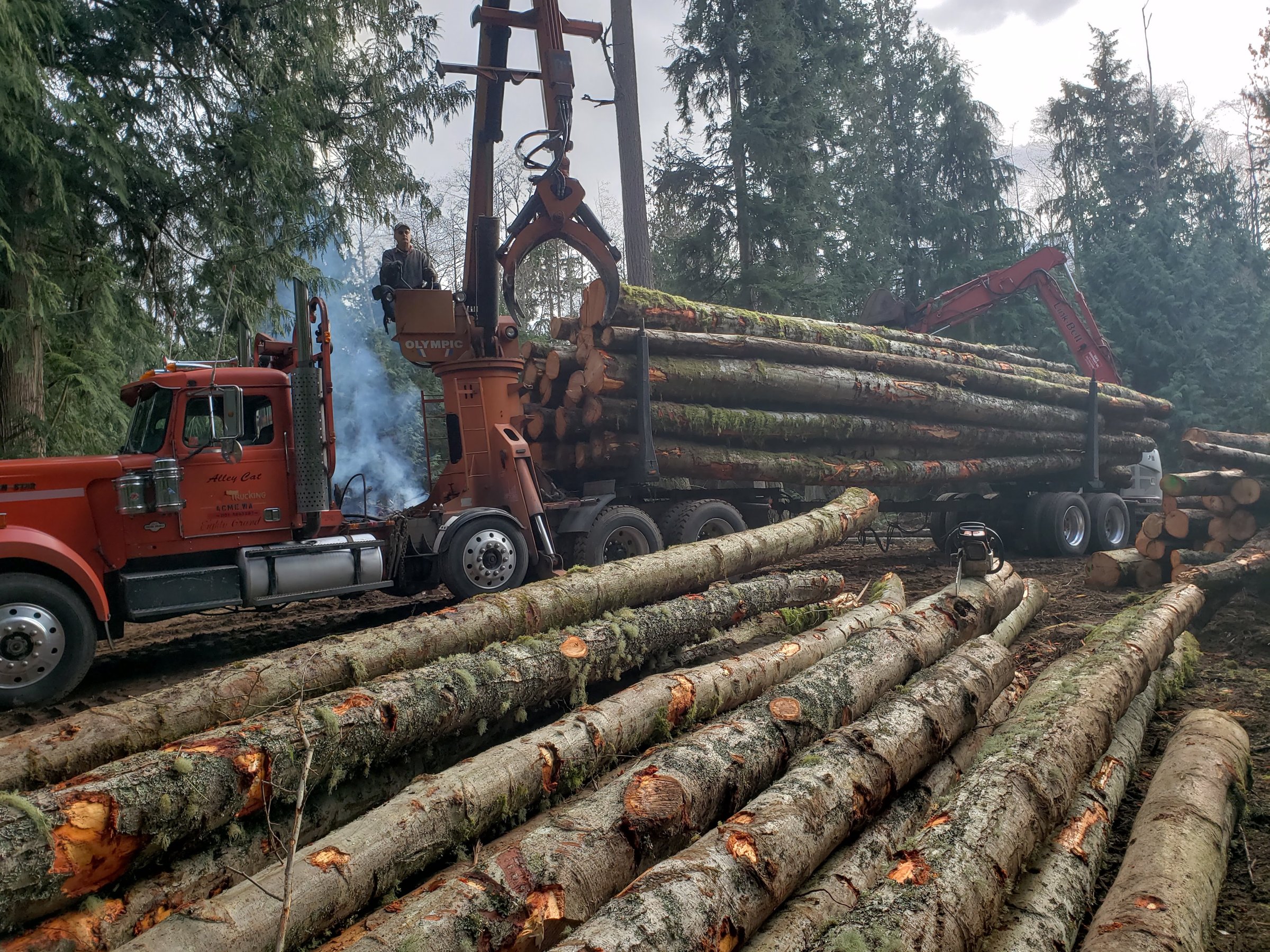 Baxter's log loader truck with a timber deck from a land clearing job