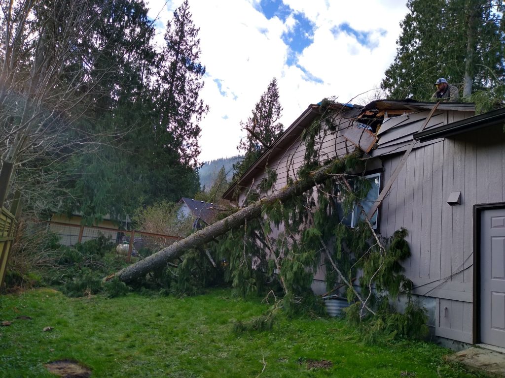 Tree down across a roof after a windstorm