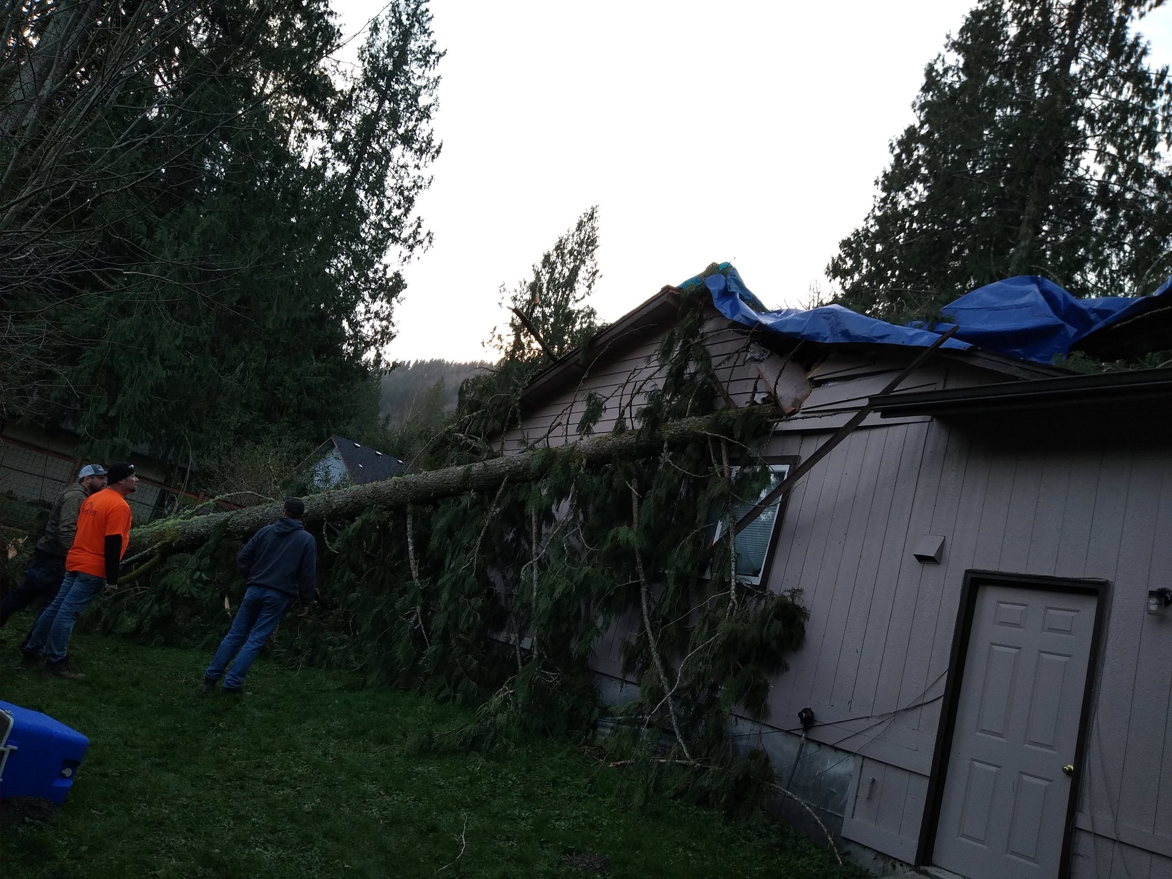 Baxter's crew assessing a storm-damaged tree on a house