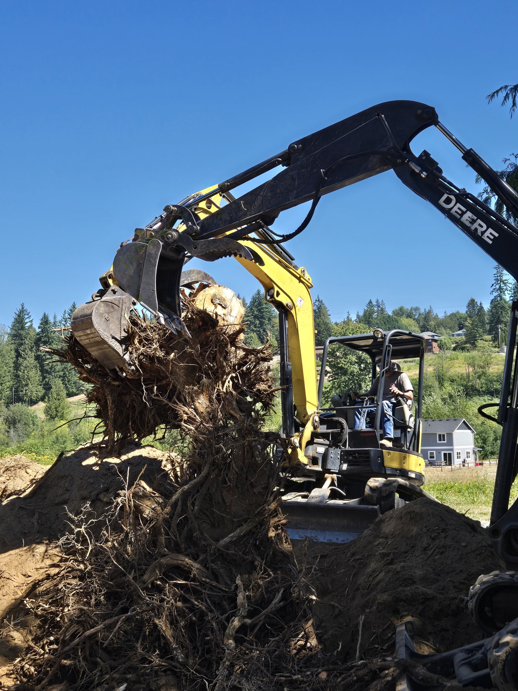 Excavator lifting out a tree stump