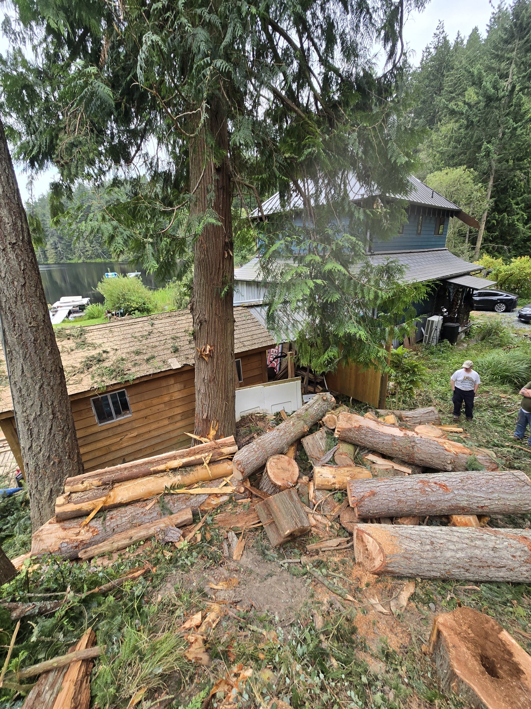 Cleaning up tree rounds next to a house after removal